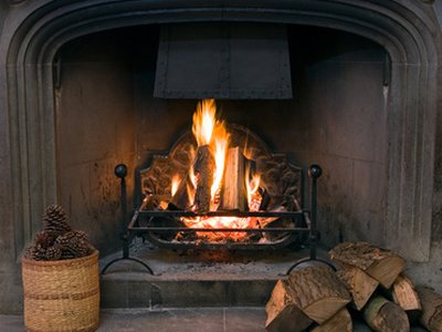 Quel bois pour la cheminée ? 