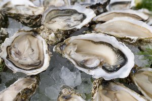 Des huîtres à Sucy, en direct de l’île de Ré