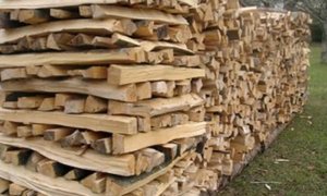 Illustration de l'annonce Hêtre Bois de chauffage de haute qualité