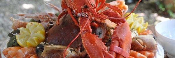 Huîtres et fruits de mer au Bistrot du fort