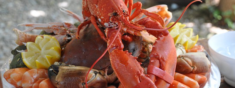 Huîtres et fruits de mer au Bistrot du fort 